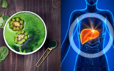 Dấu hiệu lá gan cần được thải độc sau Tết