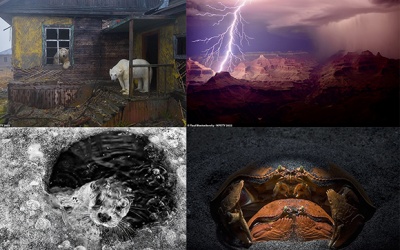 Ngắm những bức ảnh thế giới tự nhiên đẹp nhất năm 2022 