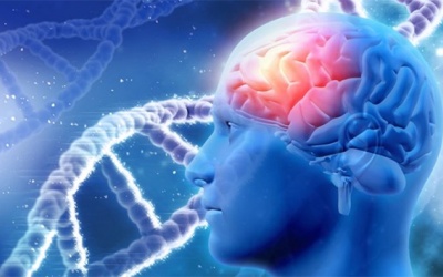 Bệnh đột quỵ não có di truyền không?