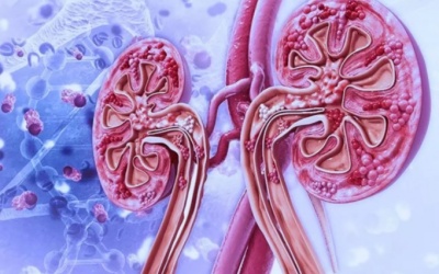 Thuốc uống đầu tiên điều trị thiếu máu dành cho người chạy thận nhân tạo