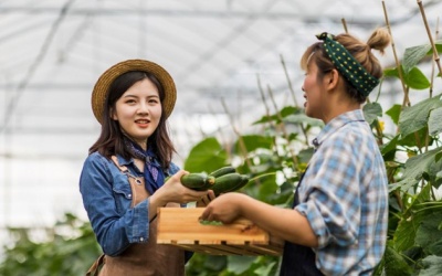 WHO kêu gọi thay đổi hệ thống thực phẩm để cải thiện sức khỏe 