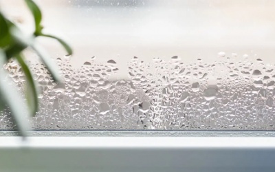 Độ ẩm không khí ảnh hưởng tới sức khỏe của bạn như thế nào?