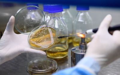 Nghị quyết 36 của Bộ Chính trị và cú hích của ngành TPCN