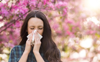 Hay hắt hơi, sổ mũi: Có phải bạn bị dị ứng theo mùa?