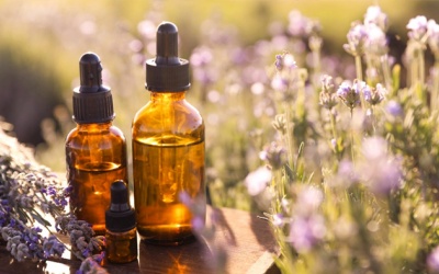 10 lợi ích của tinh dầu oải hương: Chăm sóc từ da tới tóc