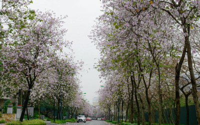 Không khí lạnh tiếp tục tăng cường tại Bắc Bộ, ven biển Nam Bộ đề phòng ngập úng