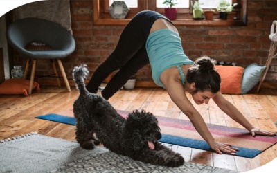 Yoga và những lợi ích cho cả thể chất - tinh thần