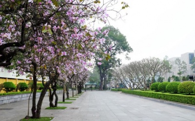 Bắc Bộ mưa vài nơi, Nam Bộ trời có nắng 