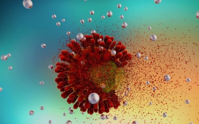 Người thứ 5 trên thế giới khỏi HIV nhờ ghép tế bào gốc