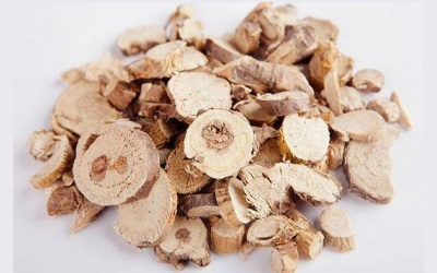 Dùng thảo dược khổ sâm trị tim đập nhanh có tốt không?