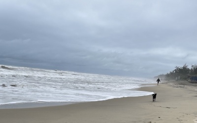 365 khoảnh khắc tâm thiền: Thiên đường không ở đâu xa