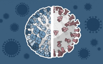 Bệnh cúm và COVID-19 có những điểm gì giống và khác nhau?