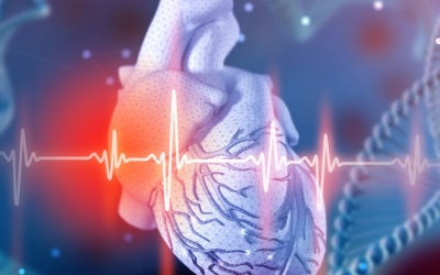 Trì hoãn đốt điện tim do ngoại tâm thu có được không?