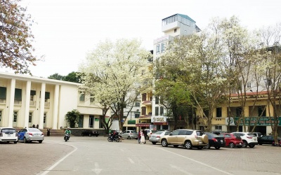 Bắc Bộ mưa nhỏ vài nơi, Đông Nam Bộ nắng nóng