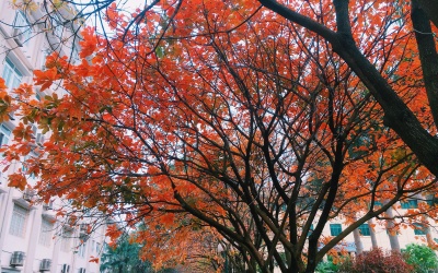 Bắc Bộ có mưa nhỏ vài nơi, Đông Nam Bộ vẫn nắng nóng