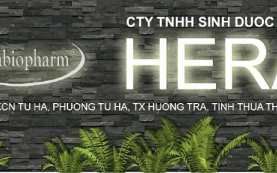 Xử phạt 3 công ty không kê khai giá thuốc trước khi lưu hành