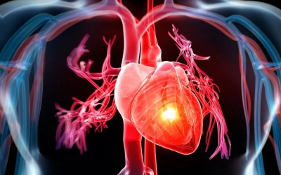 Liệu pháp tế bào gốc giúp giảm nguy cơ đau tim, đột quỵ ở người suy tim nặng