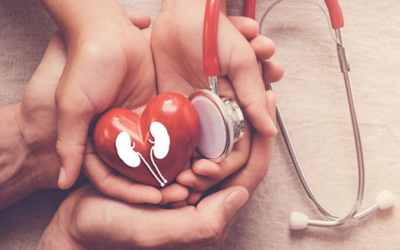 Giữ thận khỏe mạnh với 6 thói quen mỗi ngày