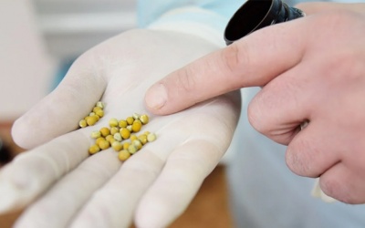 Sỏi mật 7,2mm nhưng chưa có triệu chứng có nguy hiểm không?