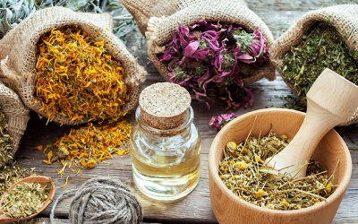 Cần đảm bảo nhiều tiêu chuẩn để hướng tới thị trường thảo dược toàn cầu!