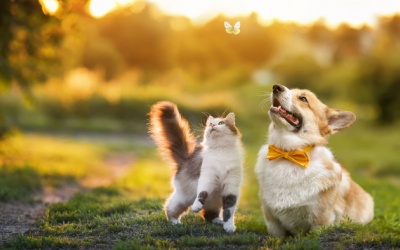 Tử vi thứ Ba (28/3/2023): Xử Nữ nên quan tâm hơn tới bạn bè