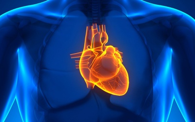 Hở van tim 2 lá 1/4 có bị hở nặng lên không?