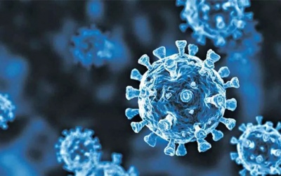 Biến thể XBB.1.16: Triệu chứng cảnh báo và các yếu tố nguy cơ