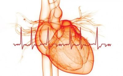 Cần biết gì về rung nhĩ - dạng rối loạn nhịp tim nguy hiểm?