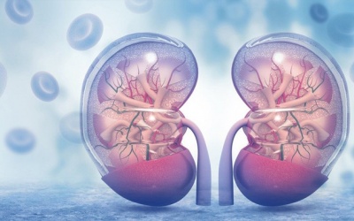 Làm sao để biết nếu bệnh đái tháo đường đang ảnh hưởng tới thận?