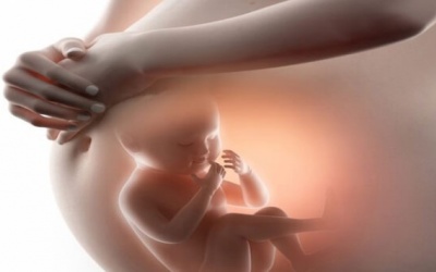 5 thực phẩm mùa hè tốt cho mẹ bầu