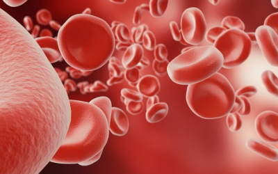 Thực phẩm giàu sắt giúp cải thiện mức huyết sắc tố emogolobin