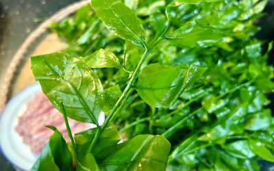 Ngọt bùi với rau sắng Hương Sơn