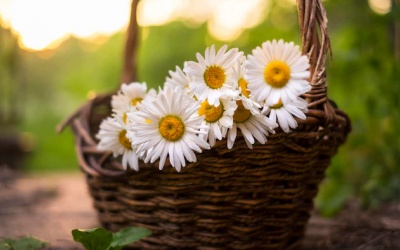 Tử vi tháng 5/2023: Cự Giải có nhiều cơ hội để thể hiện bản thân 