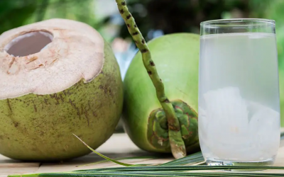 Lý do nên thêm nước dừa trong bữa sáng mùa Hè
