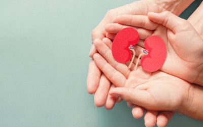 Lối sống giúp tăng cường sức khỏe thận trong mùa Hè