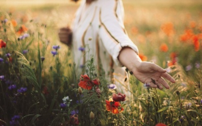 Tử vi thứ Sáu (5/5/2023): Bọ Cạp nên làm mọi việc một cách hết mình