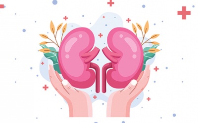 4 cách tăng cường chức năng thận cho người suy thận