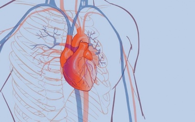 BV Đại học Y Hà Nội cứu sống ca phình động mạch chủ hiếm gặp