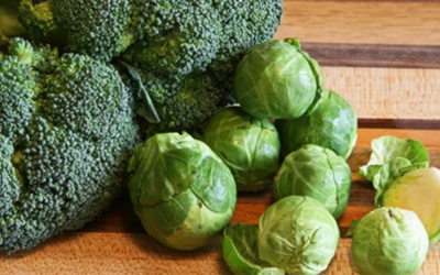 Những thực phẩm được chuyên gia về tuổi thọ ca ngợi