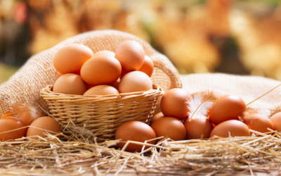 Mẹo tăng thời hạn sử dụng của trứng