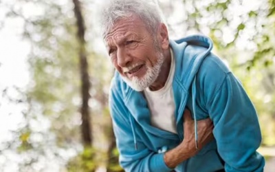 2 chất béo nên hạn chế ăn để giảm nguy cơ mắc bệnh tim 