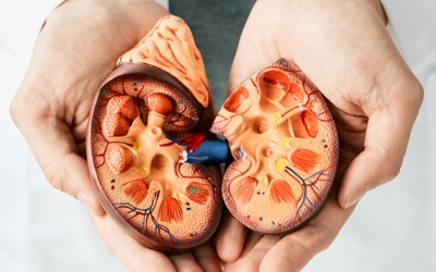 Người bệnh đái tháo đường biến chứng sang thận điều trị thế nào?