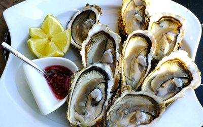 Nguy cơ nhiễm khuẩn đến từ món hàu sống