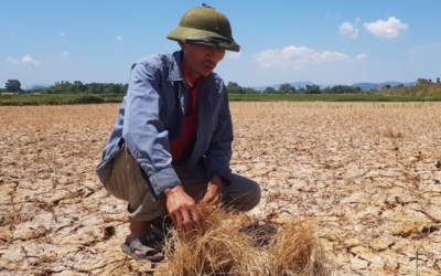 Ngành y tế cấp bách ứng phó nguy cơ nắng nóng, hạn hán, thiếu nước, xâm nhập mặn