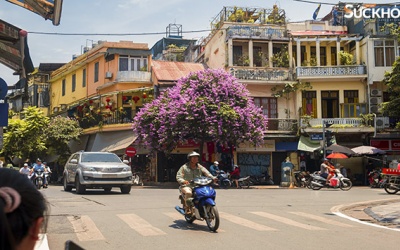 Bộ Y tế hướng dẫn chăm sóc sức khỏe mùa nắng nóng