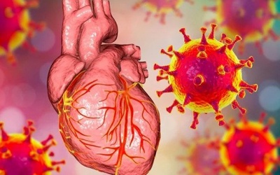 Cấy ghép tim của người hiến mắc COVID-19 có nguy cơ hay không?