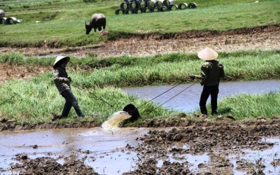 Nết ở, nết ăn vùng nắng nóng gió Lào