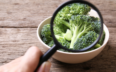 5 yếu tố chính của an toàn thực phẩm