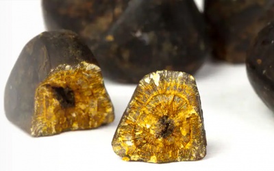 Sỏi túi mật 4,9mm dùng TPBVSK Kim Đởm Khang được không?