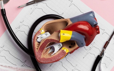 Chuyên gia tư vấn: Các phương pháp điều trị bệnh van tim